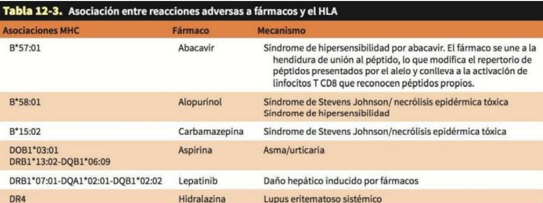 <p>e) HLA-DRB1*13:02</p>