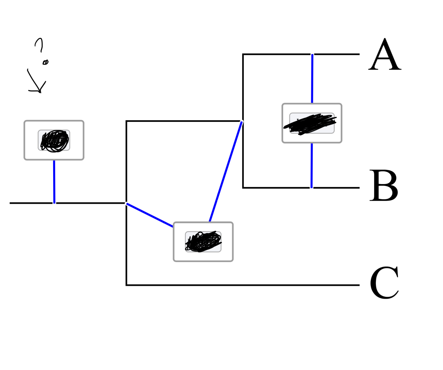 <p>What part of the phylogenetic tree is this?</p>