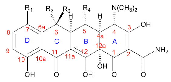 <p>Removal of what group on a tetracycline causes an increase in the partition coefficient (P)?</p>