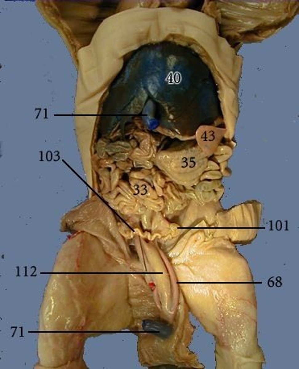 <p>#101</p>