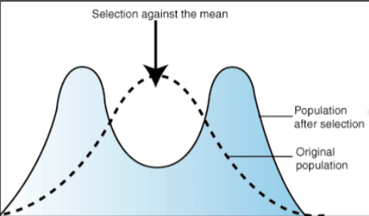 <p>selects for phenotypes at both ends of the spectrum</p><p>favors the extreme</p>