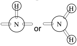 <ul><li><p>found in proteins and bases</p></li></ul>