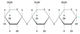 <p>polymer of a carb</p>
