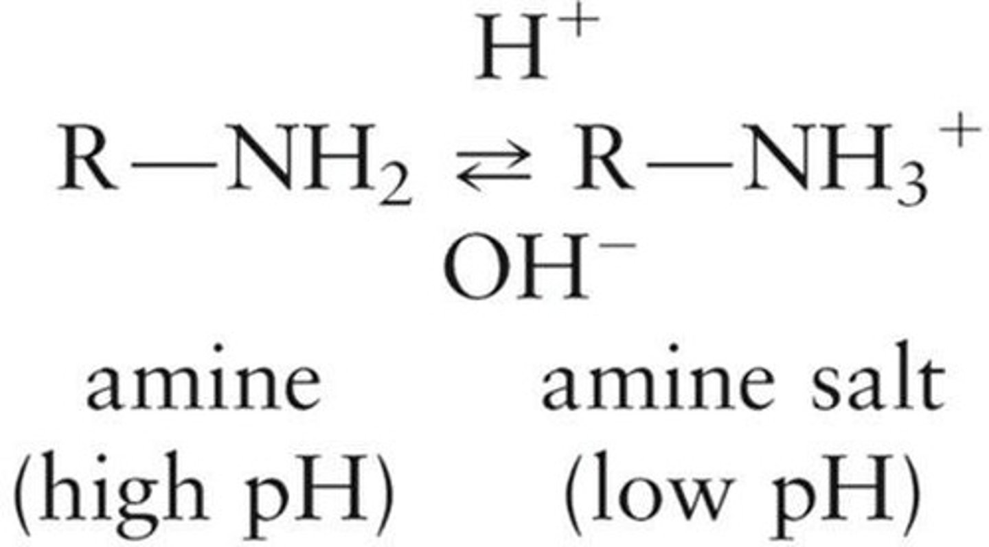 <p>Amines exist as salts in low pH solutions.</p>
