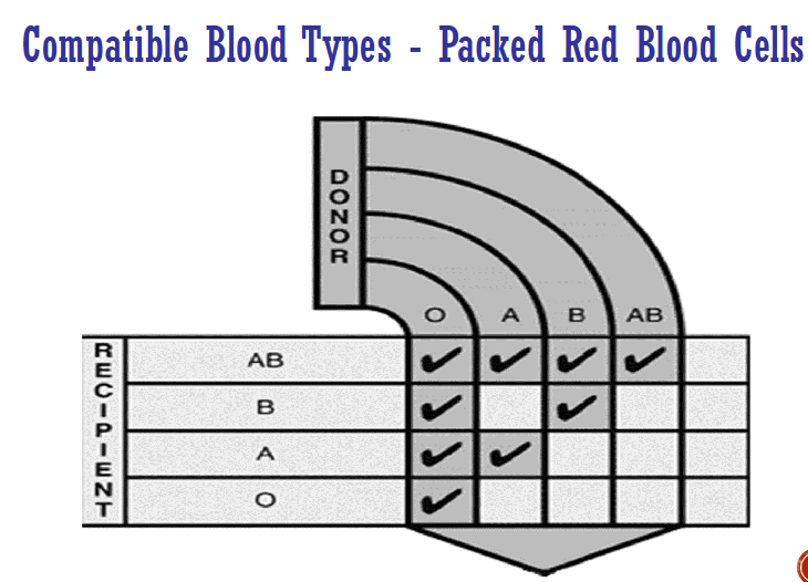 <ul><li><p>universal donor: type O (specifically O neg)</p></li><li><p>universal recipient type AB (specifically AB+)</p></li></ul><p>**remember that it is the reverse for plasma !!!</p><p></p>