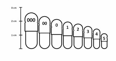 <ul><li><p>There are <strong>8 standard capsule sizes</strong>, ranging from: <strong>000 (largest)</strong> → <strong>5 (smallest)</strong></p></li></ul><ul><li><p>As the capsule size number increases, the <strong>capsule volume decreases</strong></p></li></ul><p></p><p></p><p></p>