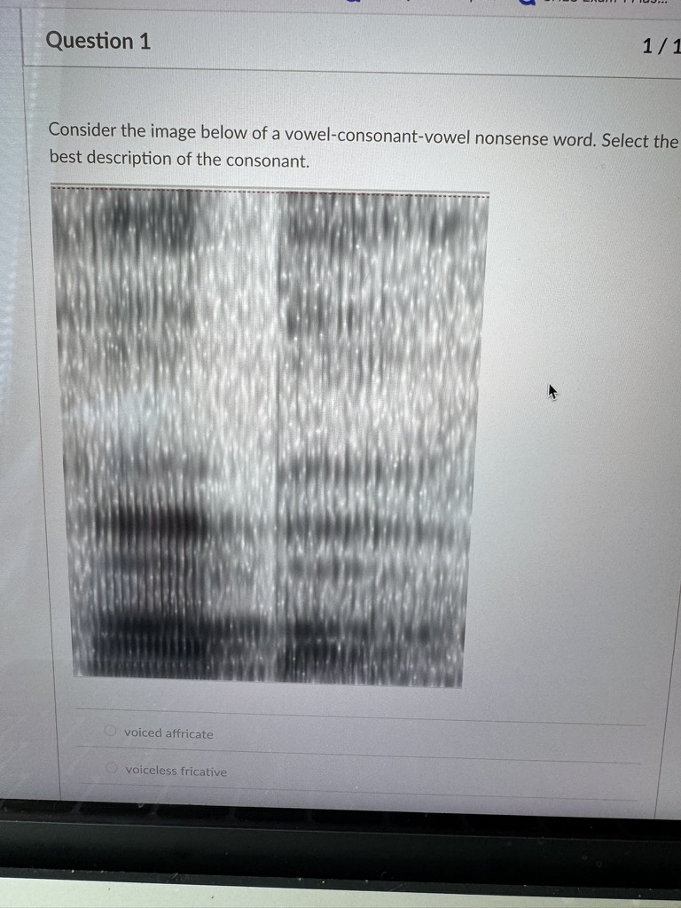 <p>Consider the image below of a vowel-consonant-vowel nonsense word. Select the best description of the consonant.&nbsp;</p>