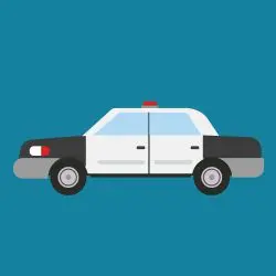 <p>police car</p>