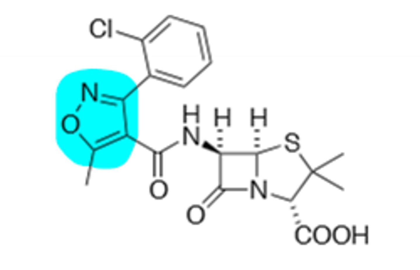 <p>B-Lactamase Resistant</p>