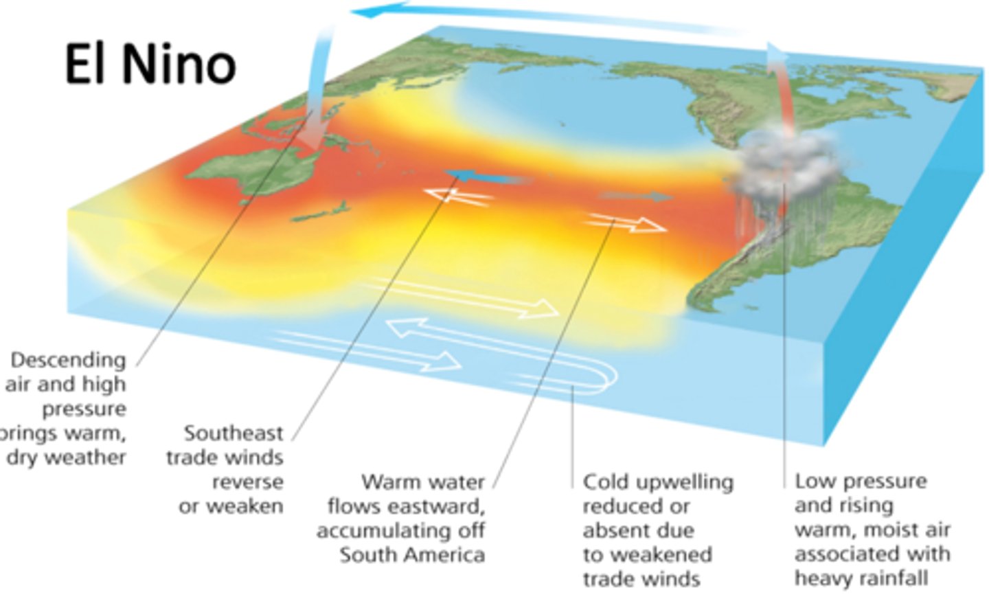 <p>natural irregular oscillation of the climate system. It involves interrelated changes in sea surface temperatures (SSTs), ocean currents, and winds across the tropical Pacific.</p>