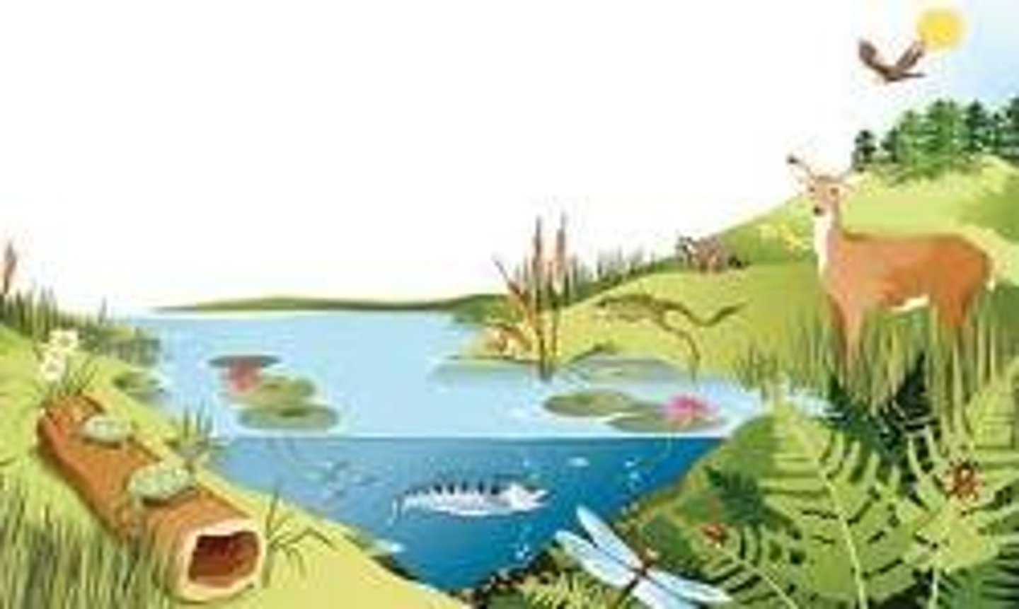 <p>all organisms and nonliving entities that occur and interact in a particular area at the same time</p>