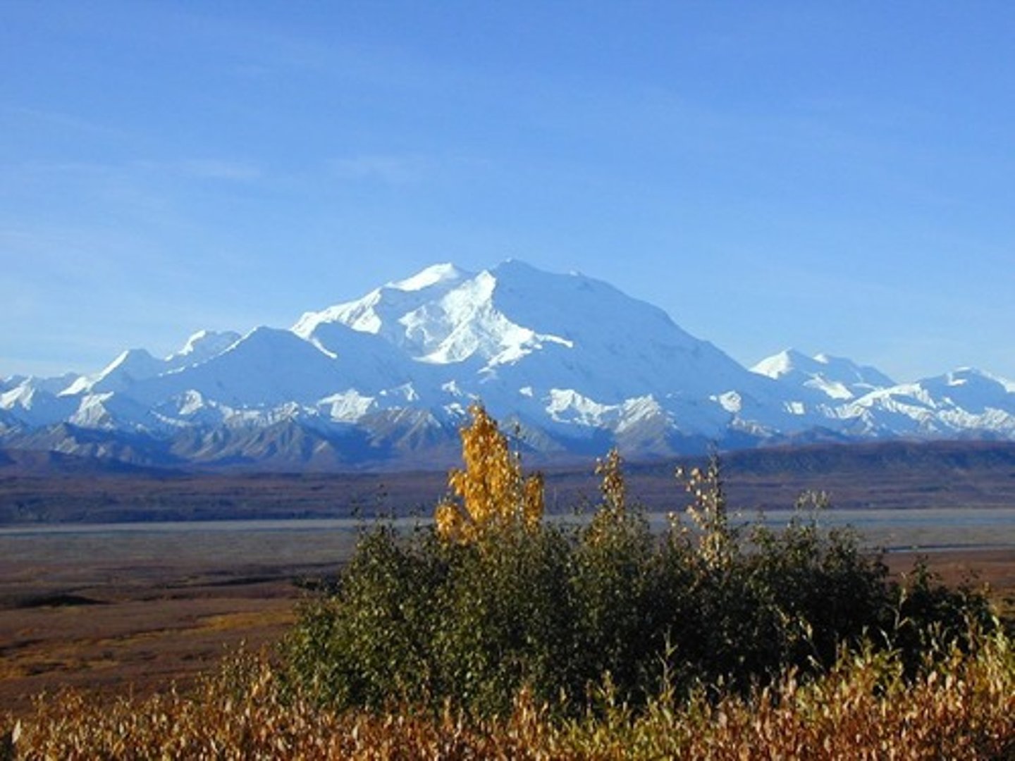 <p>Alaska</p>