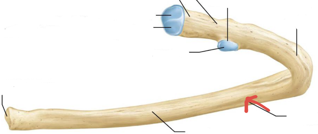 <p>what is this?</p>