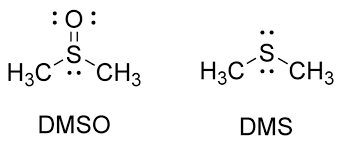 <p>dimethyl sulfoxide</p><p>dimethyl sulfide</p>