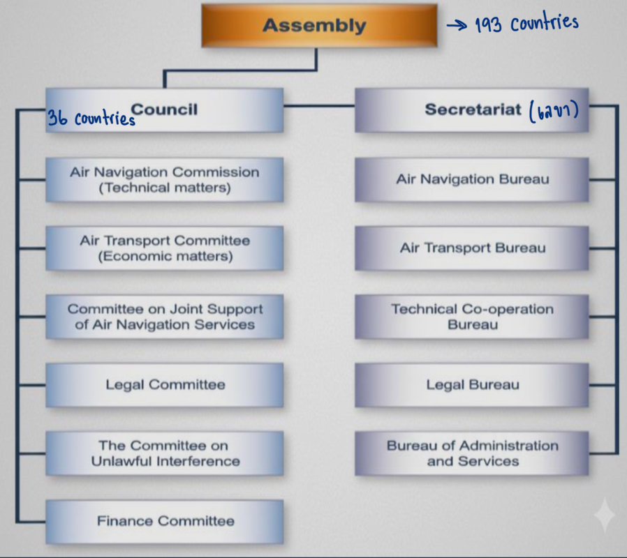 <ol><li><p>States of chief importance in air transport (e.g. Brazil, China, UK, US, Germany)</p></li><li><p>States which make the largest contribution to the provision of facilities for international civil air navigation (e.g. Egypt, Saudi Arabia, Singapore, South Africa)</p></li><li><p>States ensuring geographical representation (e.g. Malaysia, Korea, UAE)</p></li></ol><p></p>