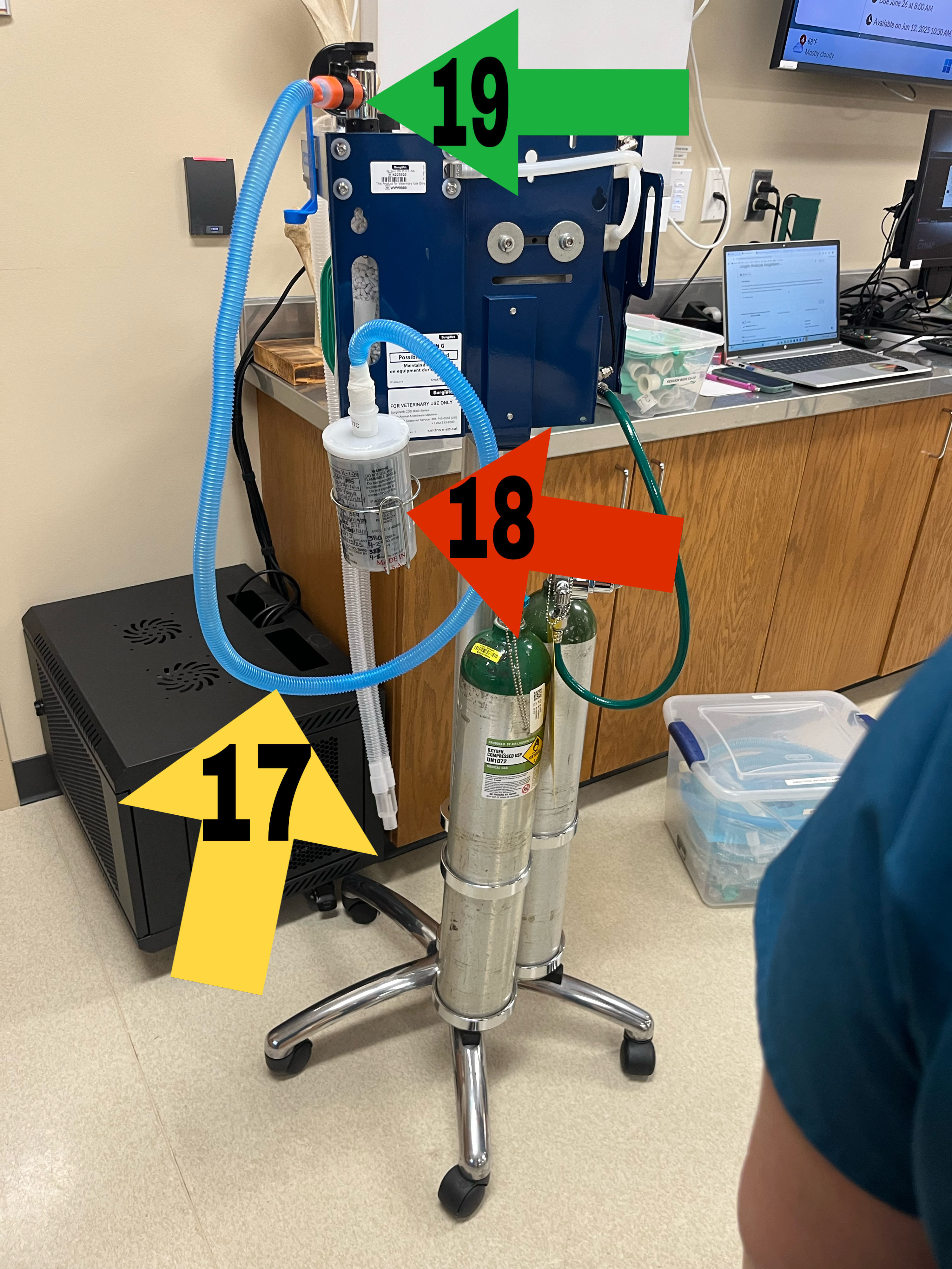 <ul><li><p><strong><u>scavenging system</u></strong></p><ul><li><p>captures excess anesthetic gas </p></li><li><p>prevents gas from entering room</p></li></ul></li></ul><p></p>