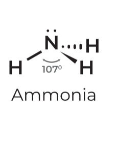 <p>• Geometry: <strong>Trigonal pyramidal </strong></p><p>• Angle: <strong>107º</strong></p><p>• Example: <strong>Ammonia</strong></p>