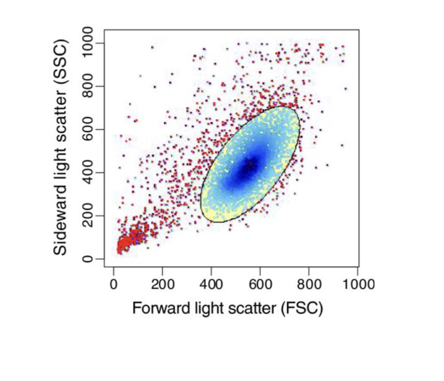 <p>i<span><span>nterested cell population can be specifically selected by gating</span></span></p><p>step 1 gating cells of interest (look at interested population &amp; program discards remaining cells)</p><p><span><span>Gating in flow cytometry (FACS) is </span></span><strong><mark data-color="rgba(0, 0, 0, 0)" style="background-color: rgba(0, 0, 0, 0); color: inherit;">the process of selecting specific subsets of cells from a larger, heterogeneous population for detailed analysis</mark></strong><span><span>. By drawing boundaries on 2D plots (using scatter or fluorescence parameters), researchers isolate populations of interest—such as single, viable, or antibody-stained cells—while excluding debris, dead cells, and doublets</span></span></p>
