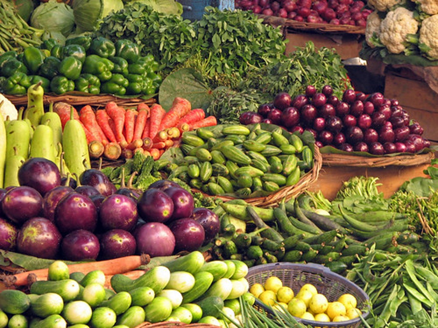 <p>greens, vegetables</p>