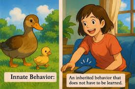 <p>existing from birth; natural or inherent</p>