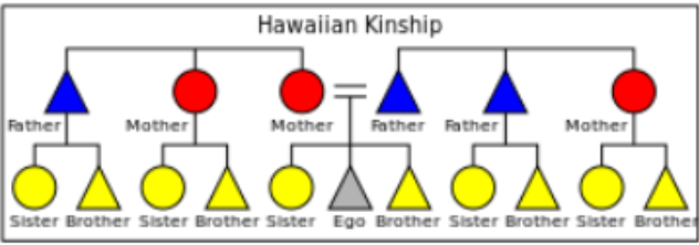 <p>Key characteristics: </p><ul><li><p>no distinction between biological and non-biological relatives</p></li><li><p>living in large communities where women would breastfeed other women’s babies</p></li><li><p>men and women share children</p></li></ul><p></p>