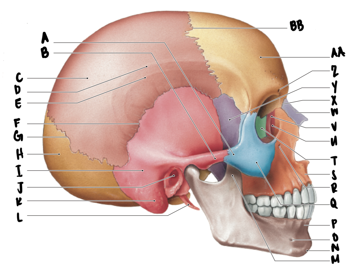 <p>J</p>