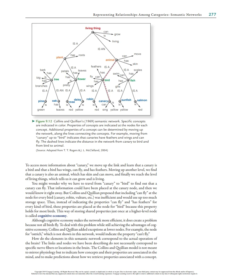 <p>What does this model show?</p>