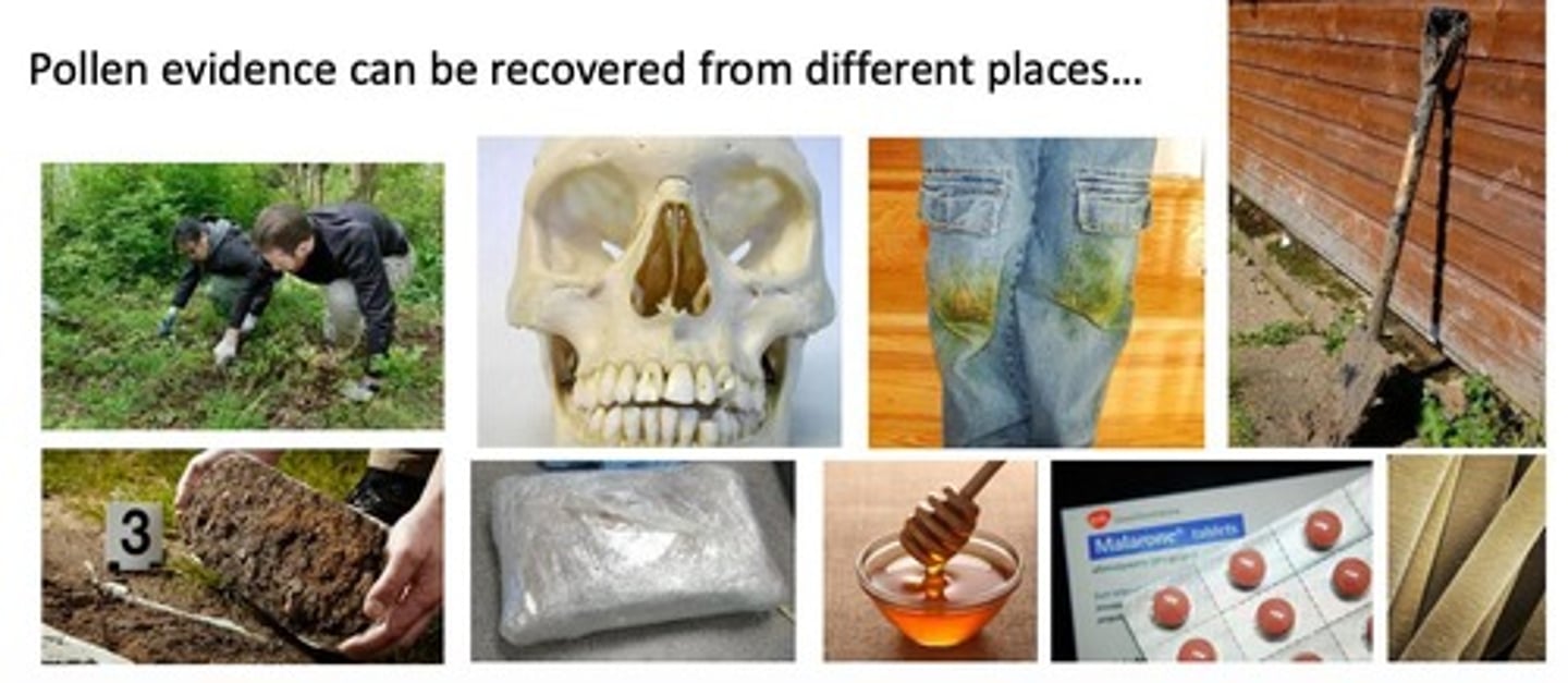 <p>It can provide information on environmental sources, generate or limit lines of enquiry, and link suspects to items or scenes.</p>