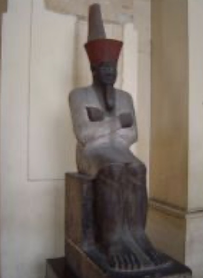 term image