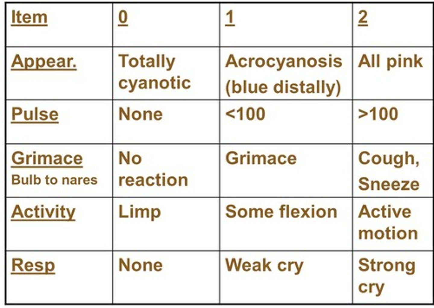 <p>A- appearance (color)</p><p>P- pulse (heart rate)</p><p>G- grimace (reflex)</p><p>A- activity (muscle tone)</p><p>R- respirations</p>