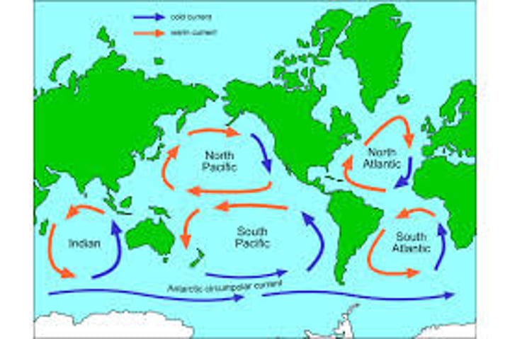 <p>one of five global ocean surface areas where circular currents have accumulated large amounts of plastic and other waste</p>