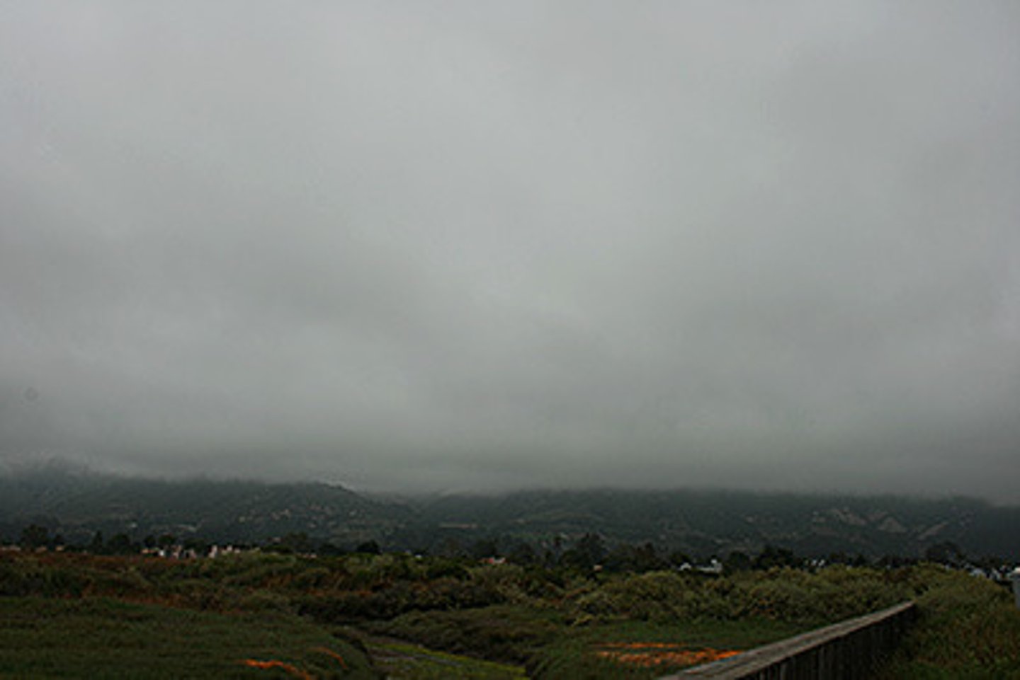 <p>clouds that form in flat layers</p>