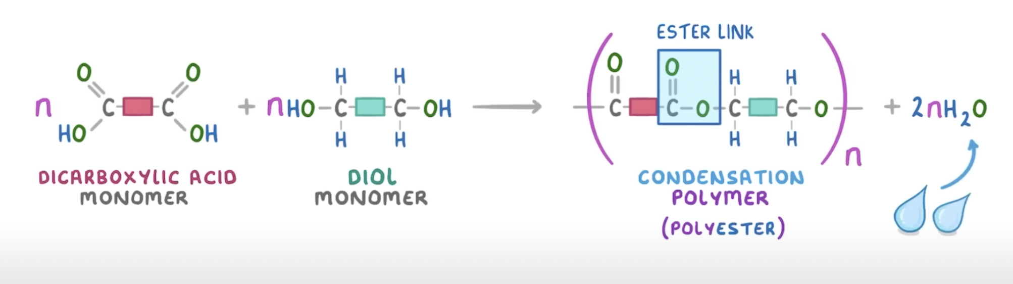 <ul><li><p>2 <strong>different monomers</strong> linked together with the removal of a small molecule (usually H2O)</p></li><li><p>forms polymer + 1 water molecule per linkage</p></li></ul><p></p>