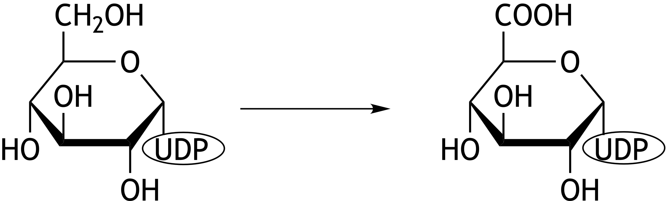 <p>67. UDP-glucuronic acid is used in a phase II biotransformation reaction and can be synthesized from UDP-glucose. The reaction equation for the biosynthesis of UDP-glucuronic acid from UDP-glucose is shown below (not stoichiometrically balanced).</p><p>Which of the following reactions occurs in this process?</p><p>A. Carboxylation</p><p>B. Hydrolysis</p><p>C. Isomerization</p><p>D. Oxidation</p><p>E. Reduction</p>