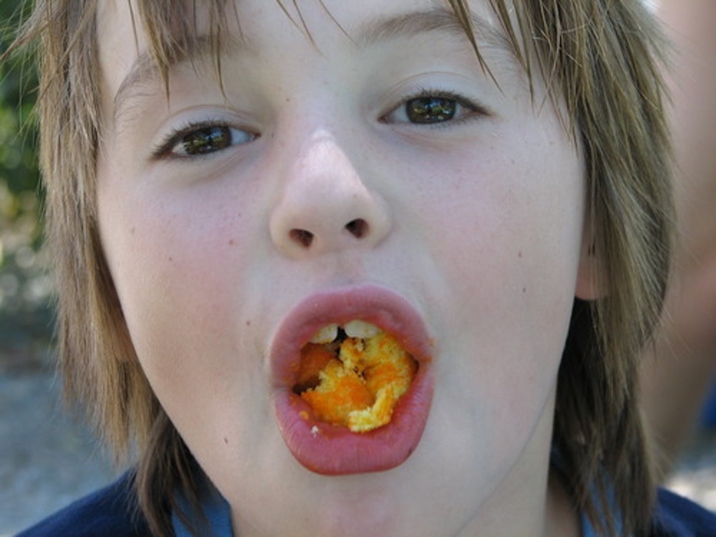 <p>Rustic, of the countryside</p>