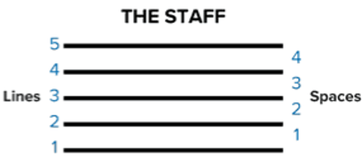 <p>Staff (staves) is a set of five horizontal lines and four spaces. This is where notes are positioned. The higher the note on a staff, the higher the pitch.</p>