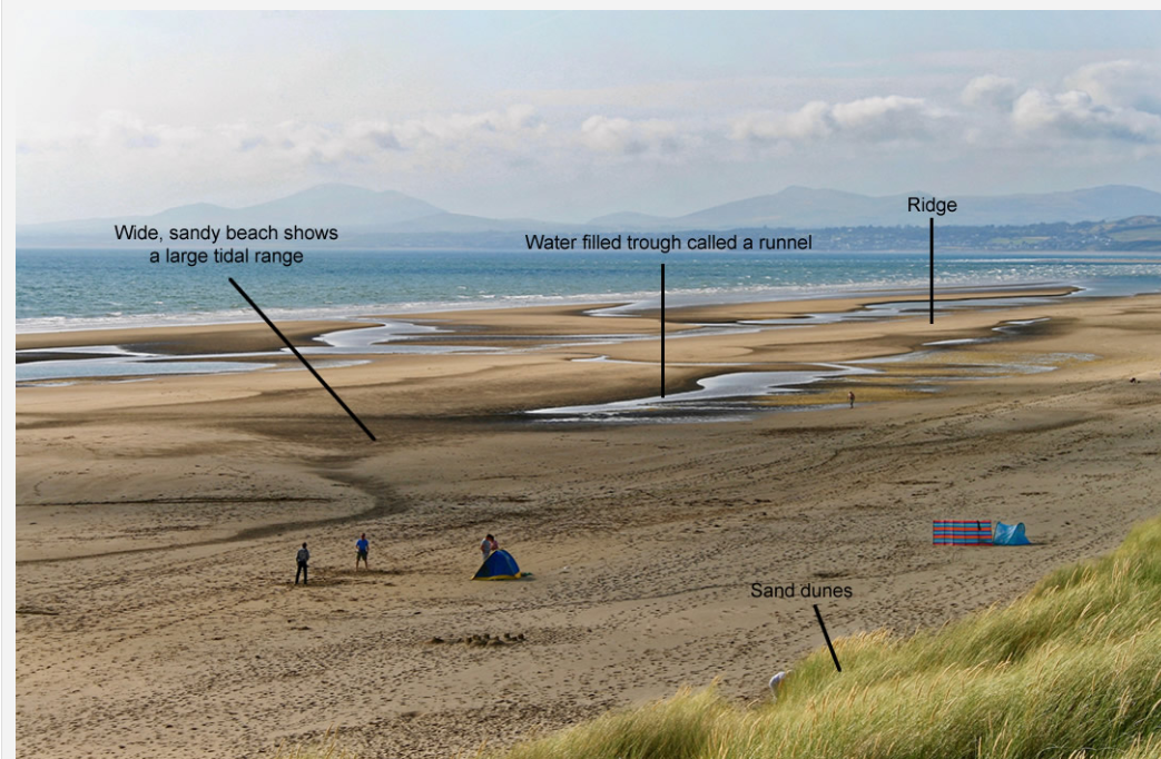 <p><span>Ridge and runnel systems are formed due to the interaction of tides, currents, sediments and the beach topography. They only form on beaches with a shallow gradient. They form as a simple drainage route for tides. Water flows in and out via the runnel.</span></p>