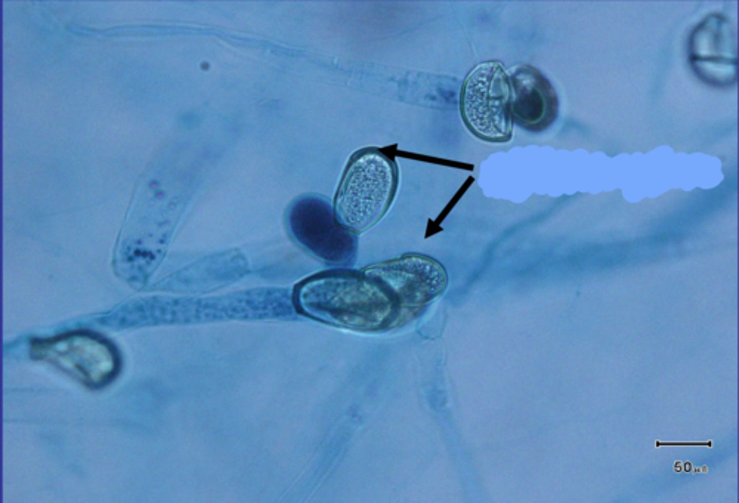 <p>What is this?</p>