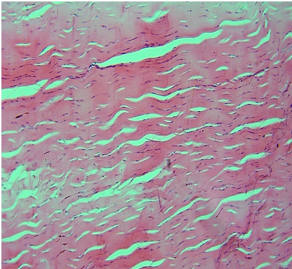 <p>identify </p><p>mention one site </p>