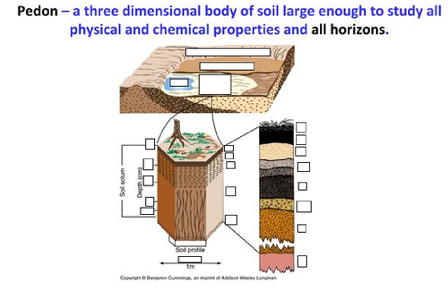 <p>a 3-D unit that represents the entire soil body and is the smallest volume of soil that shows all the characteristics/properties of a particular soil<br>-typically represent 10-100 sq ft of surface area</p>