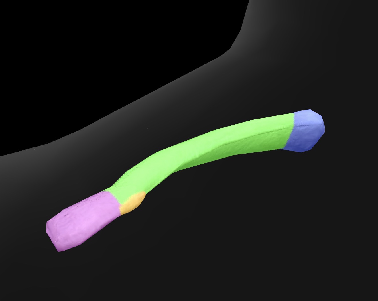 <p>What bone is this, what joints does it form?</p>