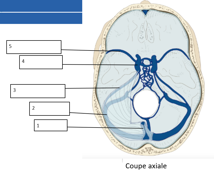 <p>Donnez ces annotations </p>