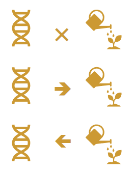 <p>There are <strong>nature—nurture interactions</strong>:</p><ol><li><p>Gene-environment interactions</p></li><li><p>Gene-environment correlations</p></li><li><p>Epigenetics</p></li></ol><p></p>