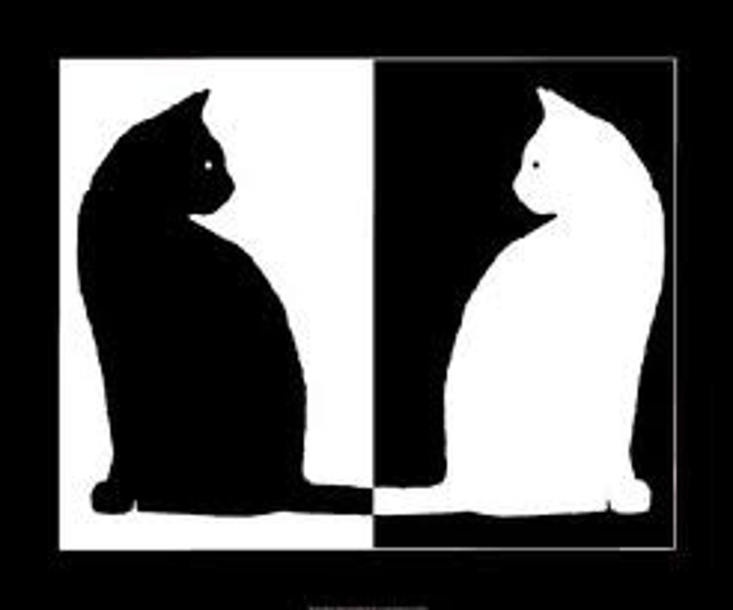 <p>saying the opposite of something</p><p>(mâu thuẫn)</p><p>=opposing (đối lập)</p><p>&gt;</p>