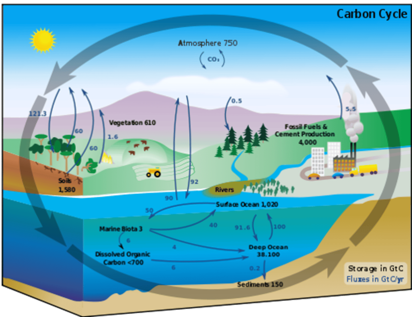 <p>The natural processes by which carbon compounds are incorporated into living tissues by photosynthesis and returned to the atmosphere through respiration, decay of dead organisms, and burning of fossil fuels</p>