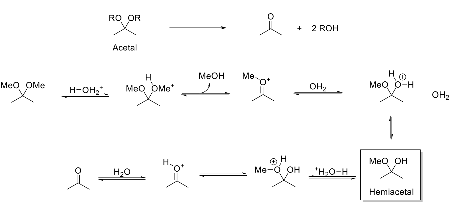 <p>Acid-Catalyzed Hydrolysis of Acetals</p>