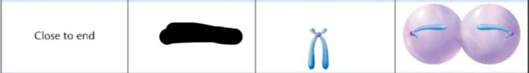 <p>Where is the designation?</p>