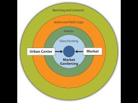 <p>It explains agricultural land use patterns by varying transportation cost. The pattern predicts more-intensive rural land is closer to the marketplace, and more extensive rural land is farther from the market place. These rural land use zones are divided into concentric rings.</p>