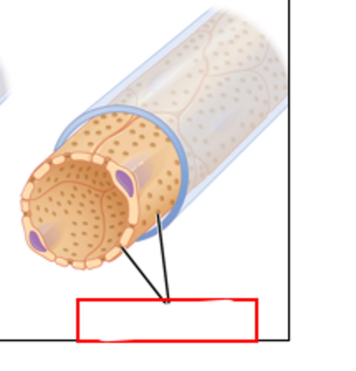 <p>this image is showing</p>