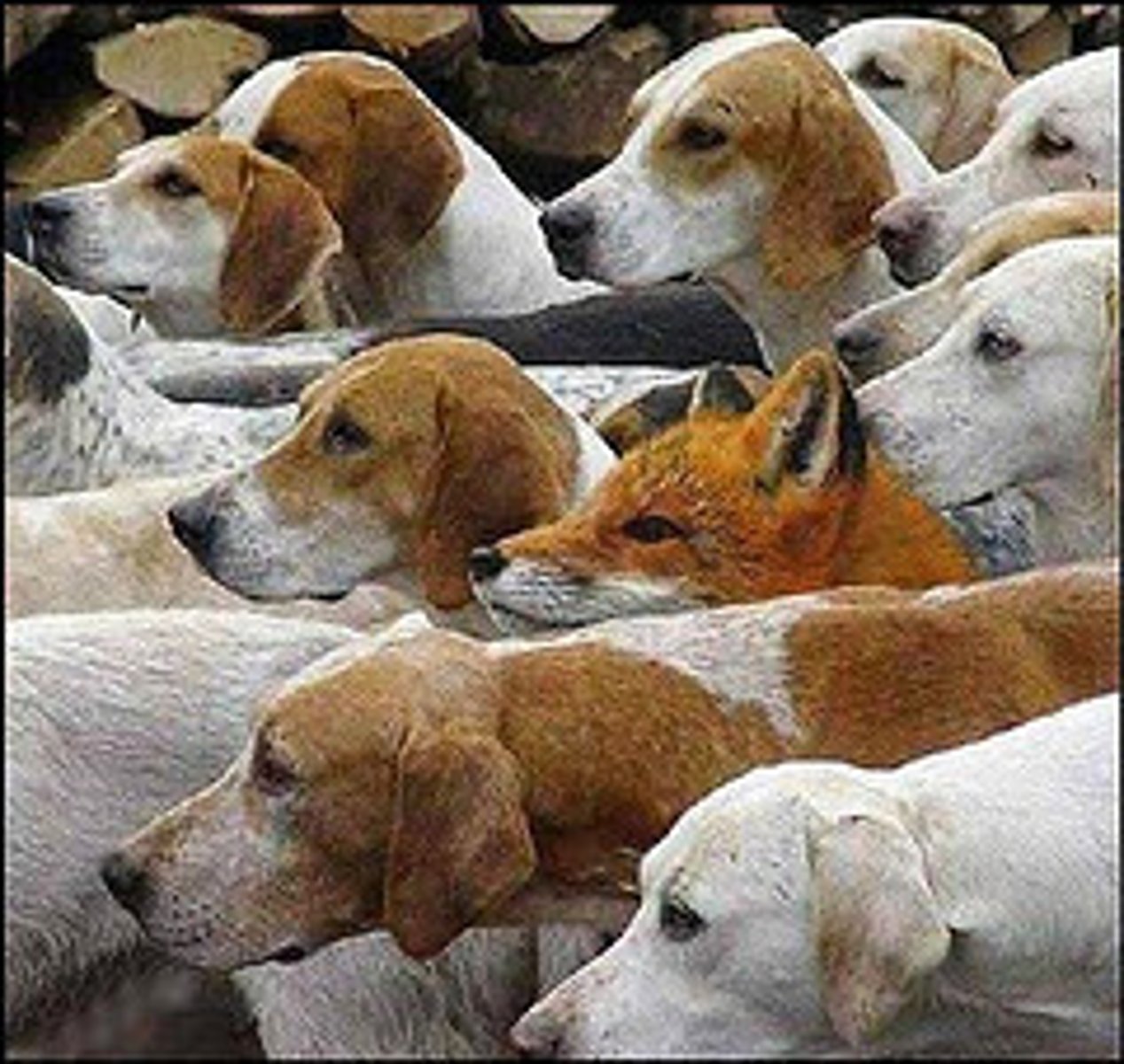 <p>not easily seen; subtle; not noticeable</p>